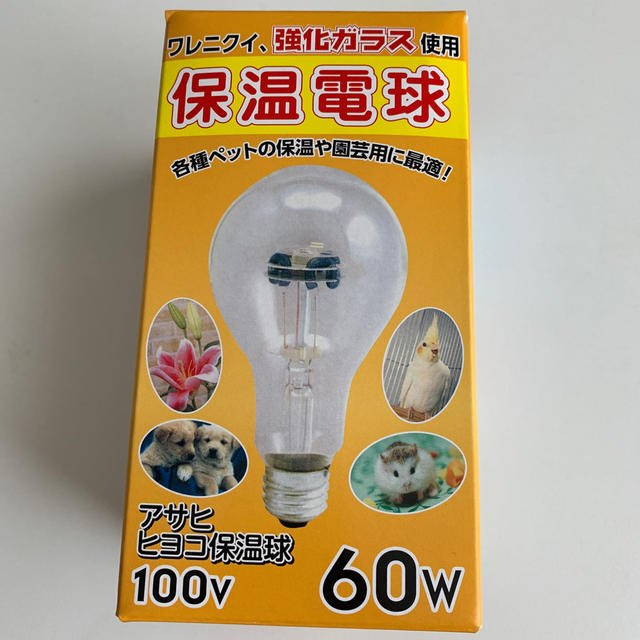 アサヒ(アサヒ)の新品☆アサヒヒヨコ保温電球○100v60w強化ガラス使用 その他のペット用品(小動物)の商品写真