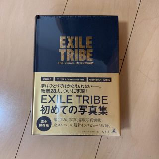 エグザイル トライブ(EXILE TRIBE)のＥＸＩＬＥ　ＴＲＩＢＥ　ＴＨＥ　ＶＩＳＵＡＬ　ＤＩＣＴＩＯＮＡＲＹ(アート/エンタメ)