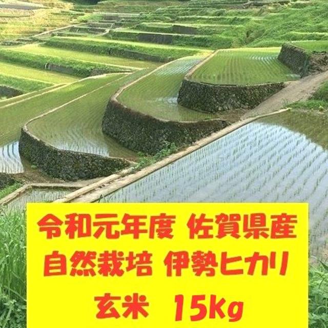 無農薬!自然栽培!農家直送!令和元年度佐賀県産!「伊勢ヒカリ」玄米１５ｋｇ食品/飲料/酒