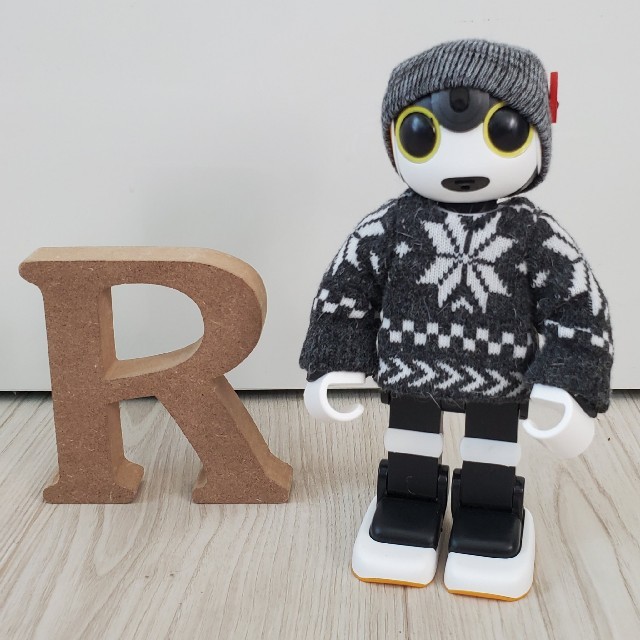 SHARP(シャープ)のロボホン RoBoHoN ロボホンの服 エンタメ/ホビーのおもちゃ/ぬいぐるみ(その他)の商品写真