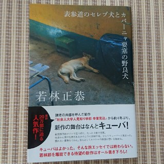 カドカワショテン(角川書店)の若林正恭 本  表参道のセレブ犬とカバーニャ要塞の野良犬 (文学/小説)