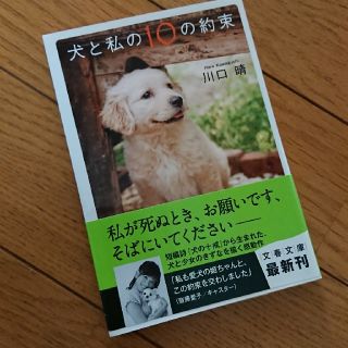 犬と私の１０の約束(文学/小説)