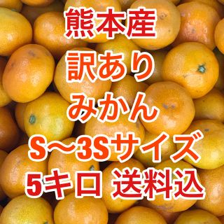 熊本産  極早生ミカン　約5キロ　S～3Sサイズ  送料込(フルーツ)