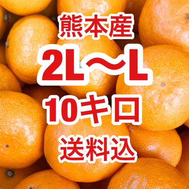 熊本産    訳あり　極早生ミカン　約10キロ　2L～Lサイズ  送料込 食品/飲料/酒の食品(フルーツ)の商品写真