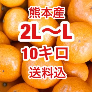 熊本産    訳あり　極早生ミカン　約10キロ　2L～Lサイズ  送料込(フルーツ)