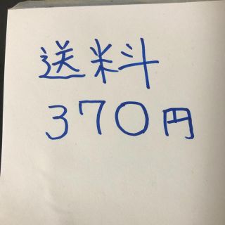 送料370円(その他)