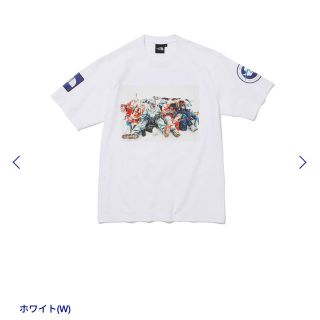 ザノースフェイス(THE NORTH FACE)のNORTH FACE Trans Antarctica Tee 白 XLサイズ(Tシャツ/カットソー(半袖/袖なし))