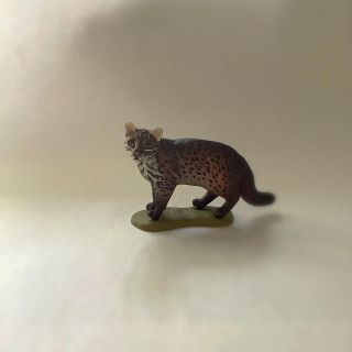 カイヨウドウ(海洋堂)のイリオモテヤマネコ　IRIOMOTE CAT 沖縄フィギュアみやげ　シーズン3(その他)