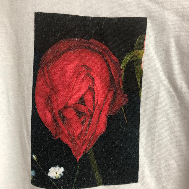 Supreme(シュプリーム)の1日限定値下げ　supreme Araki rose tee 16ss Mサイズ メンズのトップス(Tシャツ/カットソー(半袖/袖なし))の商品写真