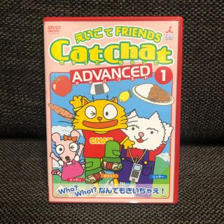 catchat advanced1 英語子ども 教材 DVD(語学/参考書)