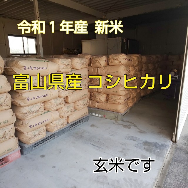 米/穀物令和1年産 新米 富山県産コシヒカリ