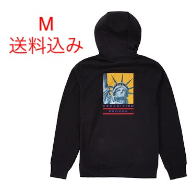 Supreme X TNF Hoodie Statue of Liberty M