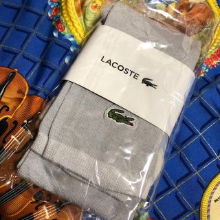 ラコステ(LACOSTE)のラコステレギンス(レギンス/スパッツ)