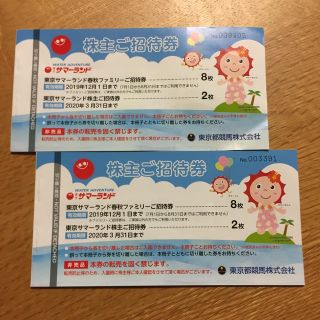 ☆メイ様専用☆サマーランド  株主優待券 フリーパス 3枚 12/1まで(遊園地/テーマパーク)