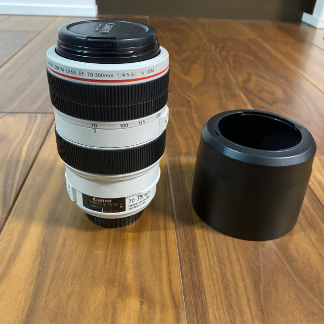 Canon - Canon EF70-300mm F4-5.6L IS USM