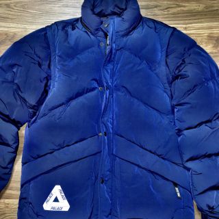 Palace pinnacle puffa jacket