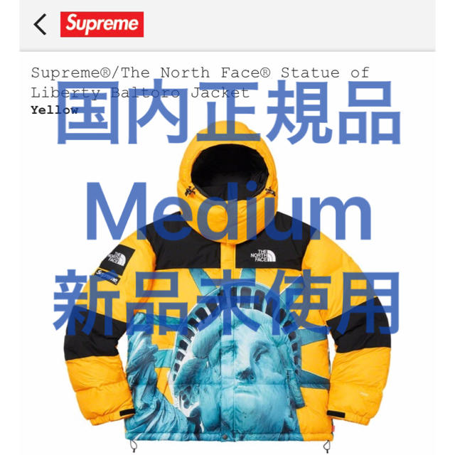 Supreme - 【M】Supreme The North Face Baltoro Jacket