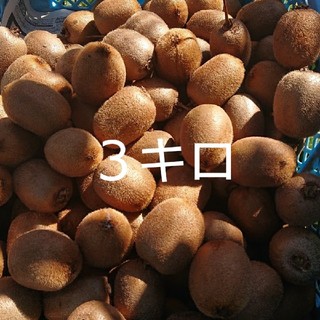 3-1 無農薬有機栽培 キウイフルーツ 3kg(フルーツ)