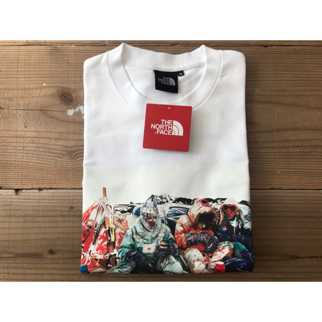 THE NORTH FACE(ザノースフェイス)のMサイズ ノースフェイス トランス アンタークティカ Tシャツ メンズのトップス(Tシャツ/カットソー(半袖/袖なし))の商品写真