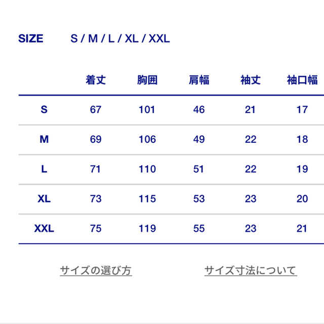 THE NORTH FACE(ザノースフェイス)のMサイズ ノースフェイス トランス アンタークティカ Tシャツ メンズのトップス(Tシャツ/カットソー(半袖/袖なし))の商品写真