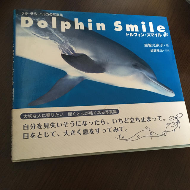 ドルフィン スマイル うみ そら イルカの写真集の通販 By まむ S Shop ラクマ ドルフィン スマイル うみ そら イルカの写真集の通販 By まむ S Shop ラクマ