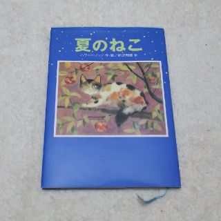 夏のねこ(絵本/児童書)