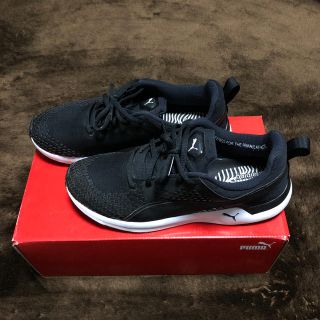 プーマ(PUMA)のPUMAのスニーカー(11月末で出品終了します)(スニーカー)