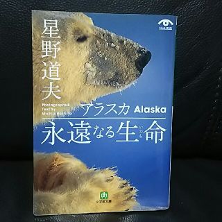 アラスカ永遠なる生命（いのち）(文学/小説)