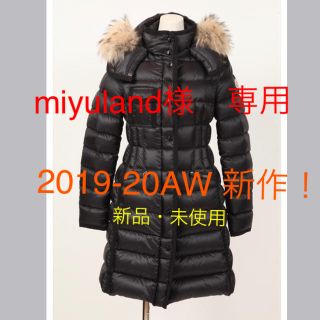 モンクレール(MONCLER)の【2019-2020年秋冬新作】 新品未使用！モンクレール / エルミファー(ダウンコート)