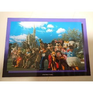 ディズニー(Disney)の【ヒナ2422様専用】ディズニー  絵はがき(使用済み切手/官製はがき)