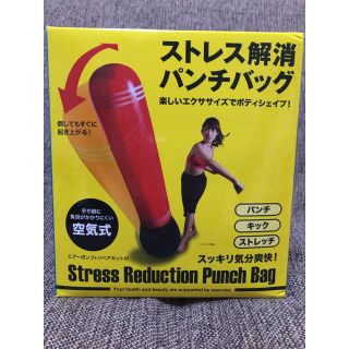 ストレス解消　パンチバッグ(トレーニング用品)