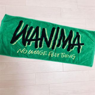 ワニマ(WANIMA)のWANIMA 2018「Everybody!! TOUR」 北海道　グリーン(国内アーティスト)