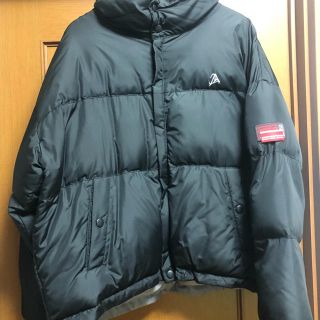 ザノースフェイス(THE NORTH FACE)のanother youth (ダウンジャケット)