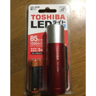 トウシバ(東芝)のLEDライト　防滴仕様(その他)