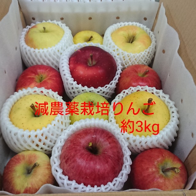 糸様専用【りんご玉手箱】青森県産リンゴ7品種約3kg 食品/飲料/酒の食品(フルーツ)の商品写真