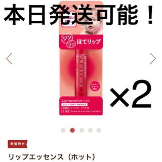 【在庫最後】エテュセ　ほてリップ　2個セット(リップケア/リップクリーム)