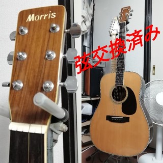 【受渡し可】調整済み Morris W-30 ドレッドノートタイプ アコギ(アコースティックギター)