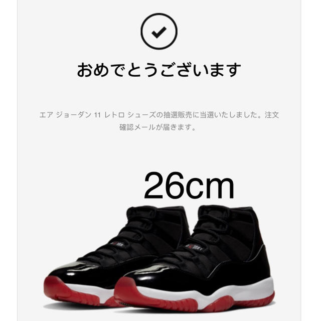 エアジョーダン11 ブラック レッド　air jordan 11　26cm