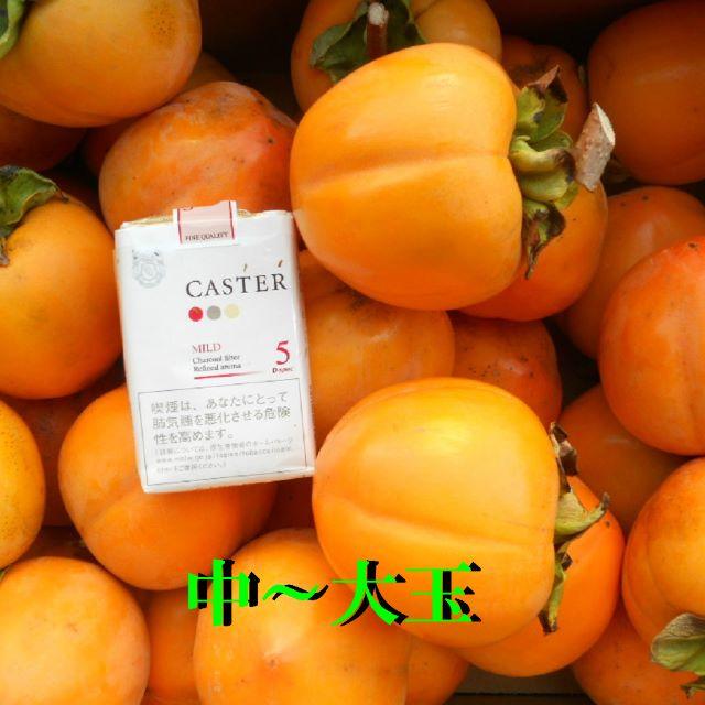 高知産　大玉渋柿　吊るし柿　２０Ｋｇ食品/飲料/酒