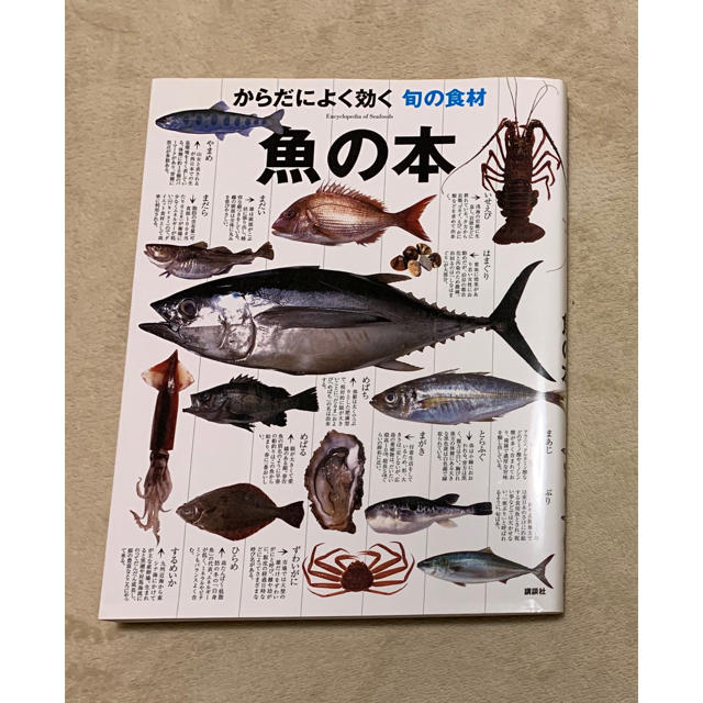 講談社(コウダンシャ)の魚の本 エンタメ/ホビーの本(料理/グルメ)の商品写真