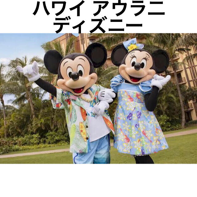 ユニークディズニー 予算 一泊 ディズニー画像 ユニークディズニー 予算 一泊 ディズニー画像