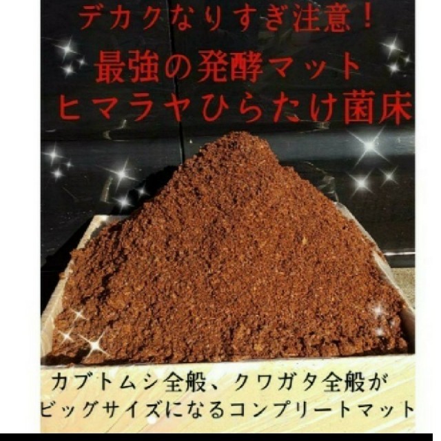 送料無料60ℓ、カブトムシ幼虫の餌！巨大化！ヒマラヤひらたけ発酵マット