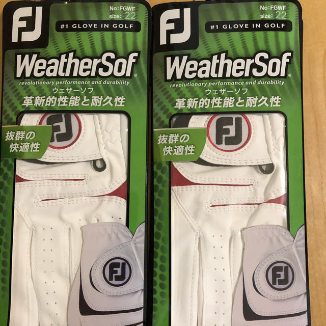 FootJoy(フットジョイ)のフットジョイ（左手）22cm     2枚 スポーツ/アウトドアのゴルフ(その他)の商品写真