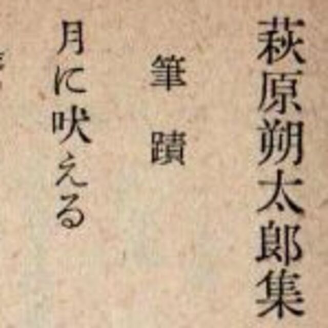 高村光太郎 萩原朔太郎集 昭和文学全集 最低価格ですの通販 by 高村光太郎 萩原朔太郎集 昭和文学全集 最低価格ですの通販 by