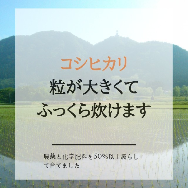 新米コシヒカリ玄米24.5キロ減農薬 食品/飲料/酒の食品(米/穀物)の商品写真