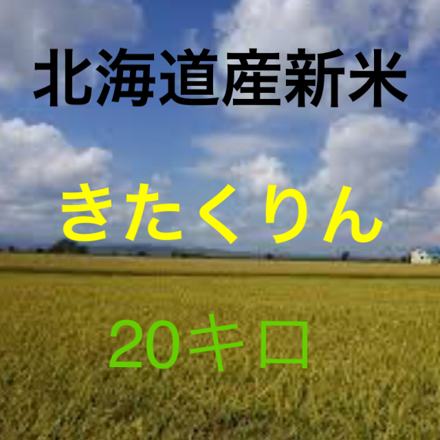 新米　きたくりん　北海道　米 食品/飲料/酒の食品(米/穀物)の商品写真