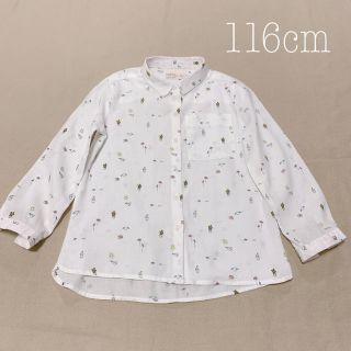 ザラキッズ(ZARA KIDS)のZARA GIRLS キッズ シャツ ブラウス 116㎝(ブラウス)