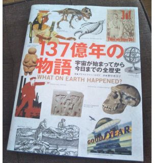 ブンゲイシュンジュウ(文藝春秋)の１３７億年の物語 宇宙が始まってから今日までの全歴史(人文/社会)