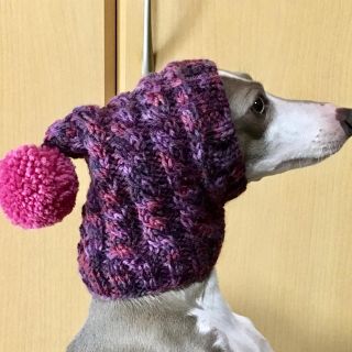 オーダー用デザイン見本 ポンポン色替え例 ■ 犬用帽子 ■ ウエア 防寒 手編み(ペット服/アクセサリー)