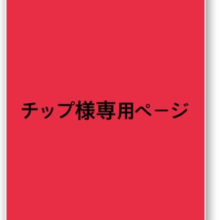 チップ様専用ページ(腕時計)